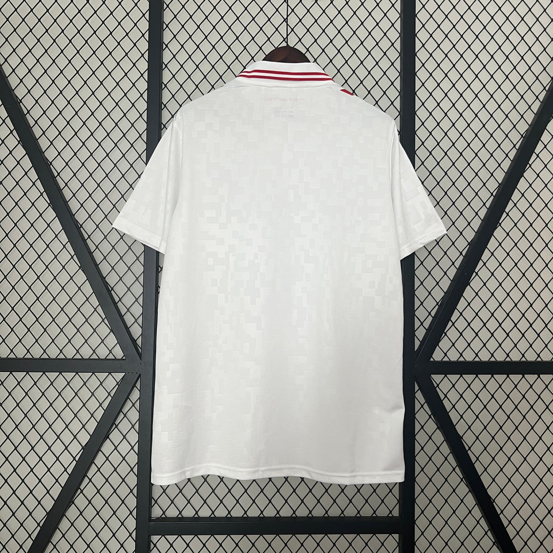 Dänemark 2024 Auswärtstrikot