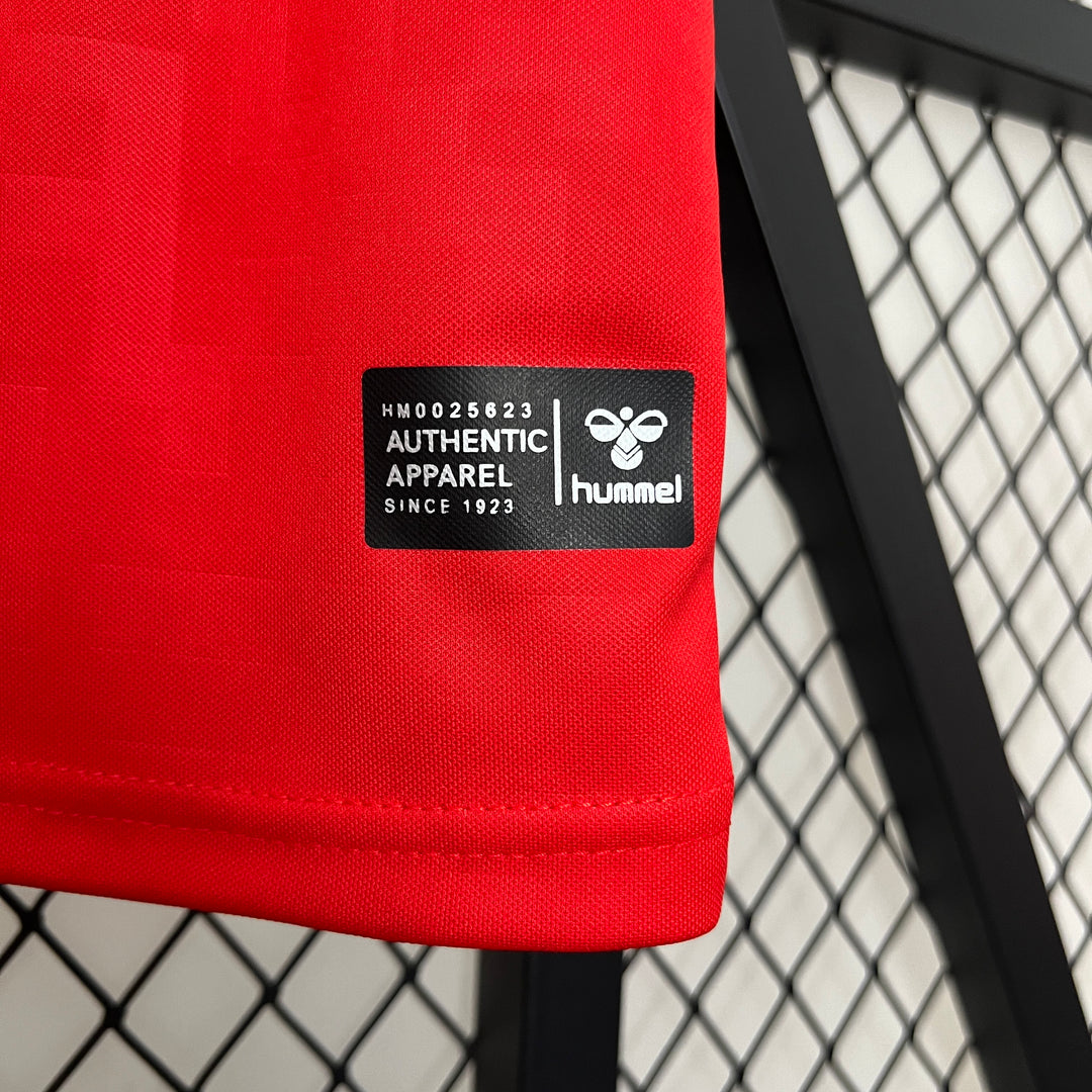 Dänemark 2024 Heimtrikot