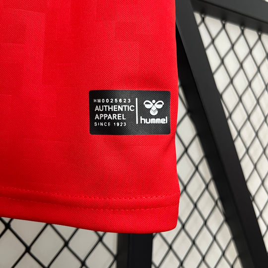 Dänemark 2024 Heimtrikot